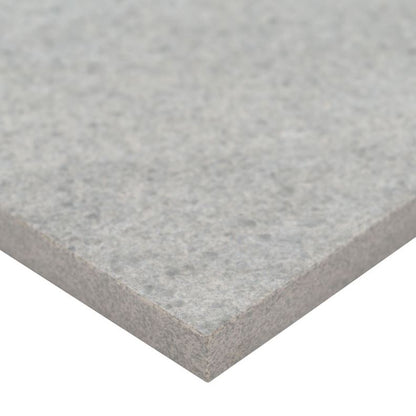 FOSSIL SNOW PATTERN PAVER