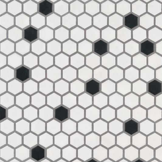 BLACK AND WHITE 1X1 HEXAGON MATTE PORCELAIN TILE