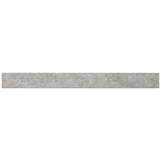 BRIXSTYLE GRIS2.4X24 BN(BRXT BT60G)MATTE PORCELAIN TILE