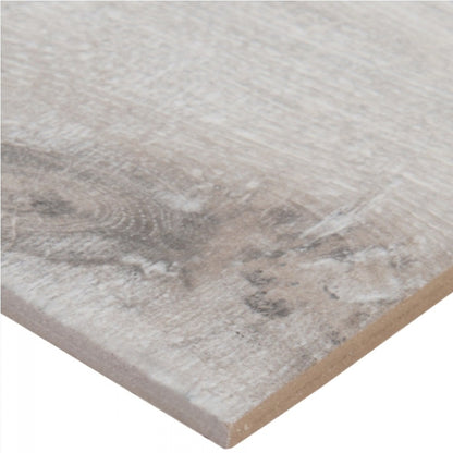 Antoni Platinum 6X36 Matte Wood Look Porcelain Tile