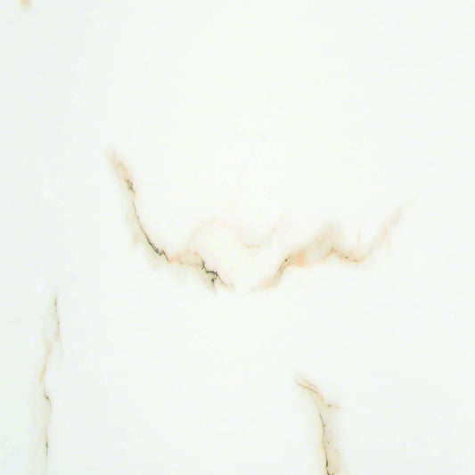 Aria Bianco 24X24 Polished Porcelain Tile