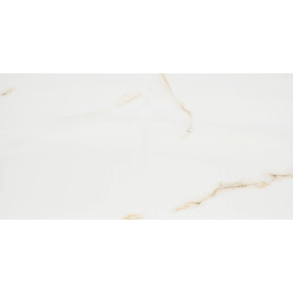 Aria Bianco 24X48 Polished Porcelain Tile
