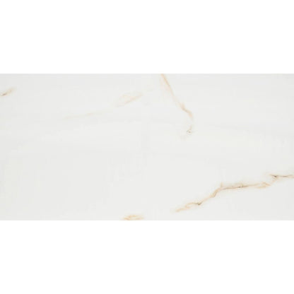 Aria Bianco 24X48 Polished Porcelain Tile