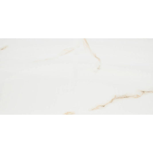 Aria Bianco 24X48 Polished Porcelain Tile