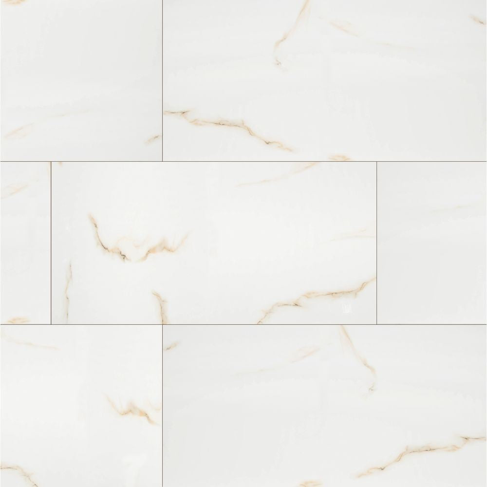 Aria Bianco 24X48 Polished Porcelain Tile