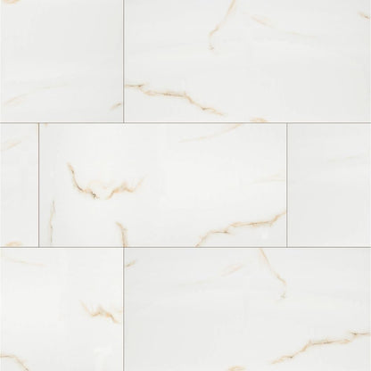 Aria Bianco 24X48 Polished Porcelain Tile