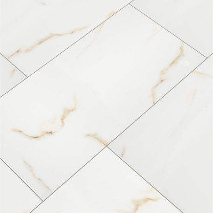 Aria Bianco 24X48 Polished Porcelain Tile