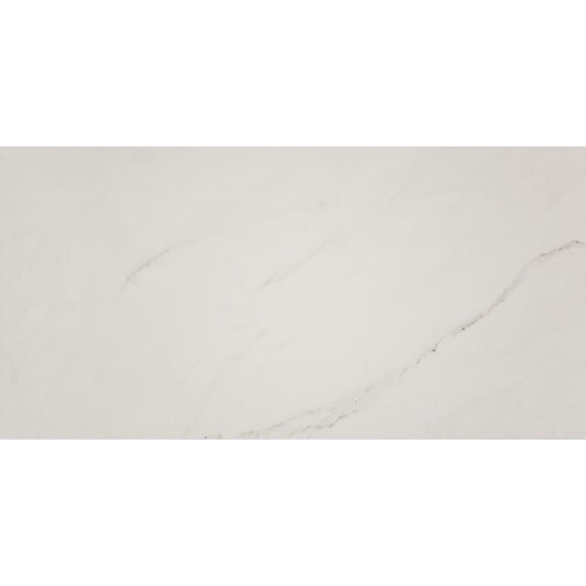 Aria Ice 24X48 Polished Porcelain Tile