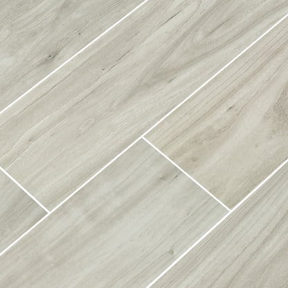 CATALINA ICE 8X48 POLISHED PORCELAIN TILE